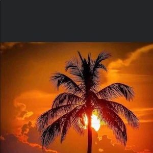 Meet your Posher, Vickie